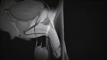 1780987597489031.gif